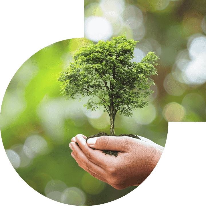 关怀人类、、、、文化、、环境与社会